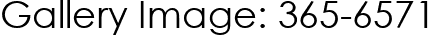 Gallery Image: 365-6571