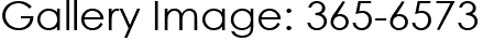 Gallery Image: 365-6573