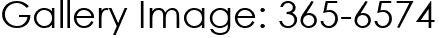 Gallery Image: 365-6574