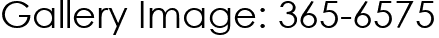 Gallery Image: 365-6575