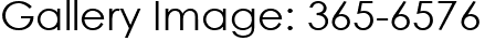 Gallery Image: 365-6576