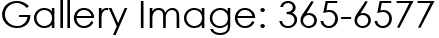 Gallery Image: 365-6577