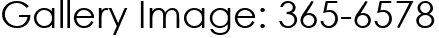 Gallery Image: 365-6578