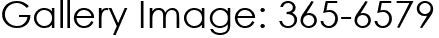 Gallery Image: 365-6579