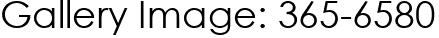 Gallery Image: 365-6580