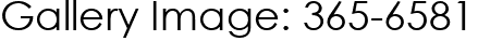 Gallery Image: 365-6581