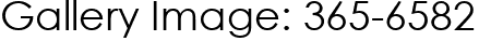 Gallery Image: 365-6582