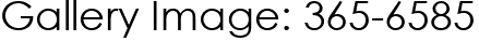 Gallery Image: 365-6585