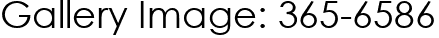 Gallery Image: 365-6586