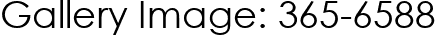 Gallery Image: 365-6588