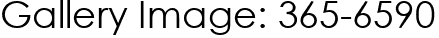 Gallery Image: 365-6590