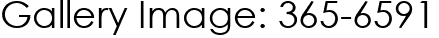 Gallery Image: 365-6591
