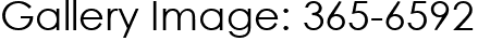 Gallery Image: 365-6592
