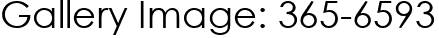 Gallery Image: 365-6593