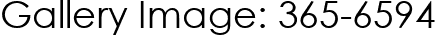 Gallery Image: 365-6594