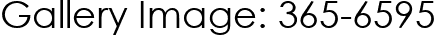 Gallery Image: 365-6595