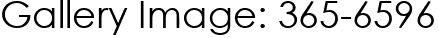 Gallery Image: 365-6596