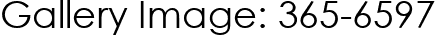 Gallery Image: 365-6597