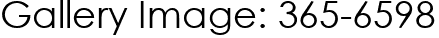 Gallery Image: 365-6598