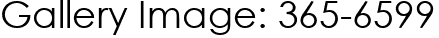 Gallery Image: 365-6599