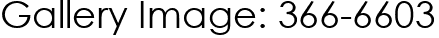 Gallery Image: 366-6603