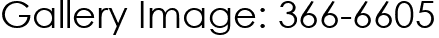 Gallery Image: 366-6605
