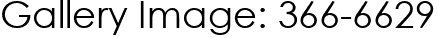 Gallery Image: 366-6629