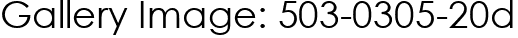 Gallery Image: 503-0305-20d