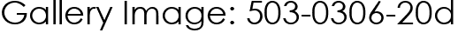 Gallery Image: 503-0306-20d