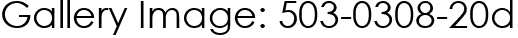 Gallery Image: 503-0308-20d
