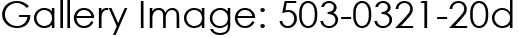 Gallery Image: 503-0321-20d