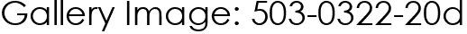 Gallery Image: 503-0322-20d