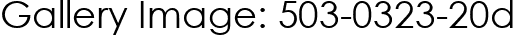 Gallery Image: 503-0323-20d