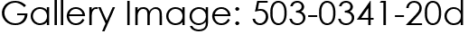 Gallery Image: 503-0341-20d