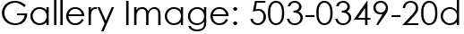 Gallery Image: 503-0349-20d