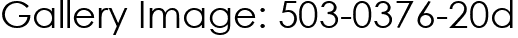 Gallery Image: 503-0376-20d