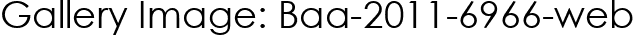 Gallery Image: Baa-2011-6966-web