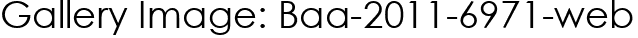 Gallery Image: Baa-2011-6971-web