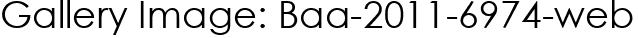 Gallery Image: Baa-2011-6974-web