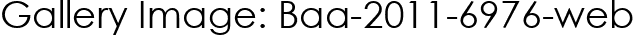 Gallery Image: Baa-2011-6976-web