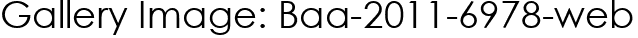 Gallery Image: Baa-2011-6978-web
