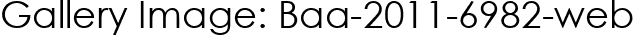 Gallery Image: Baa-2011-6982-web