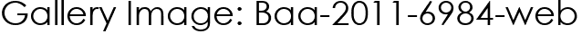 Gallery Image: Baa-2011-6984-web