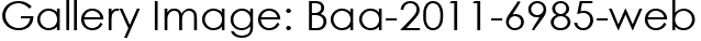 Gallery Image: Baa-2011-6985-web