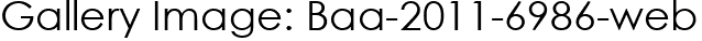 Gallery Image: Baa-2011-6986-web