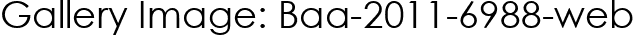 Gallery Image: Baa-2011-6988-web