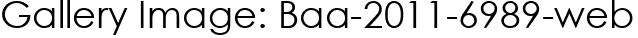 Gallery Image: Baa-2011-6989-web