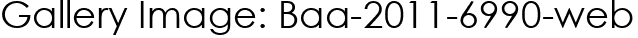 Gallery Image: Baa-2011-6990-web