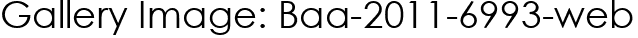 Gallery Image: Baa-2011-6993-web