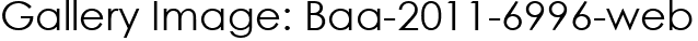 Gallery Image: Baa-2011-6996-web